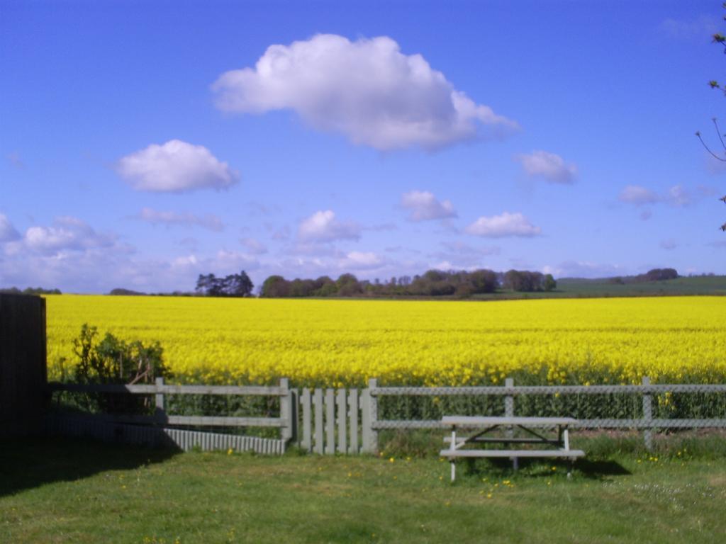B&B Haven At Avebury Exterior foto